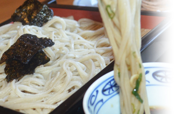 知ると蕎麦がもっと好きになる②お肌を助ける豊富なビタミンB郡蕎麦で美味しく美容と健康を。